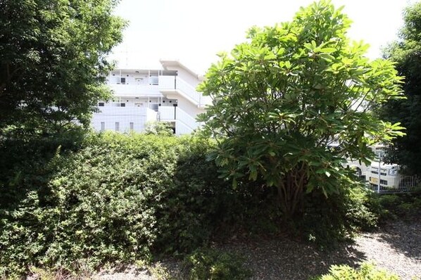 サンハイム久保田 の物件内観写真